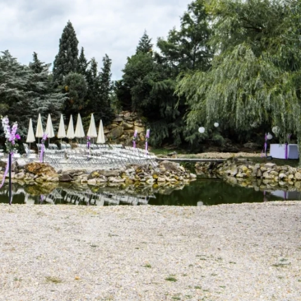 Foto von Trauinsel der Arche-Moorhof im Burgenland gemacht von Fotograf