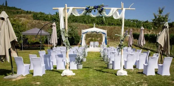 Festwiese Weingut Hermann Moser in Rohrendorf bei Krems dokumentiert durch Fotograf Wedding Paradise aus Niederösterreich